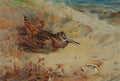 Pintura de Archibald Thorburn de um maçarico camuflado em uma duna de areia com vegetação rasteira e o mar ao fundo