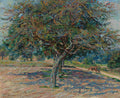 Quadro decorativo com pintura impressionista de uma grande macieira em um campo ensolarado, com sombras projetadas no chão e um cavalo ao fundo. Obra de Armand Guillaumin.