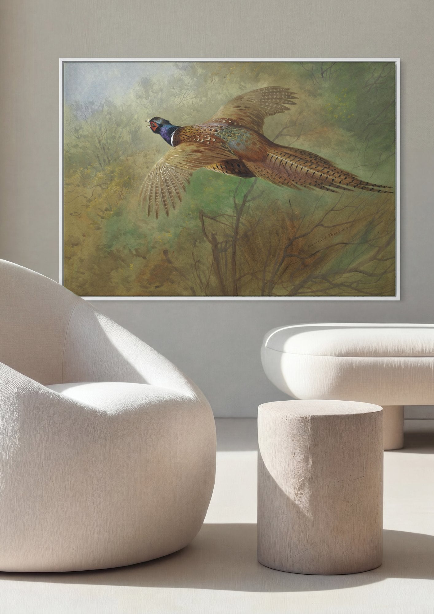 Quadro Decorativo Faisão em Voo - Archibald Thorburn em ambiente decorado