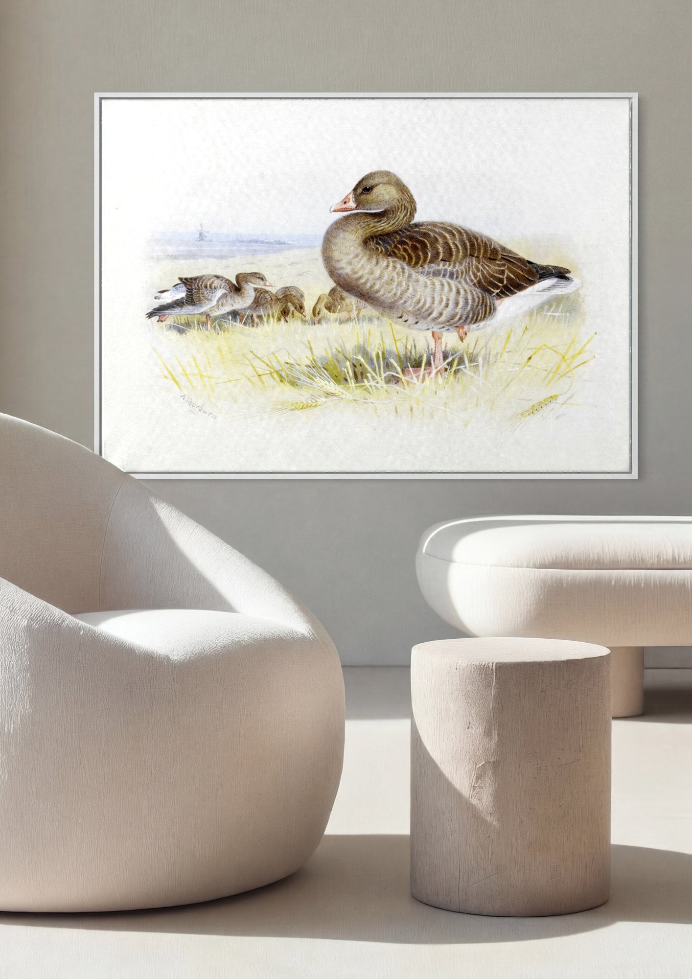 Quadro Decorativo Aves no Campo - Archibald Thorburn em ambiente decorado