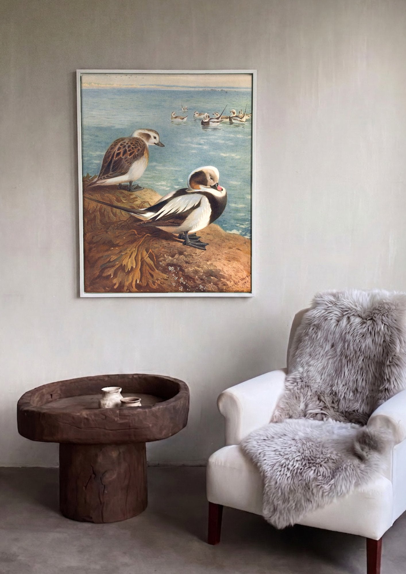 Quadro Decorativo Aves Marinhas - Archibald Thorburn em ambiente decorado