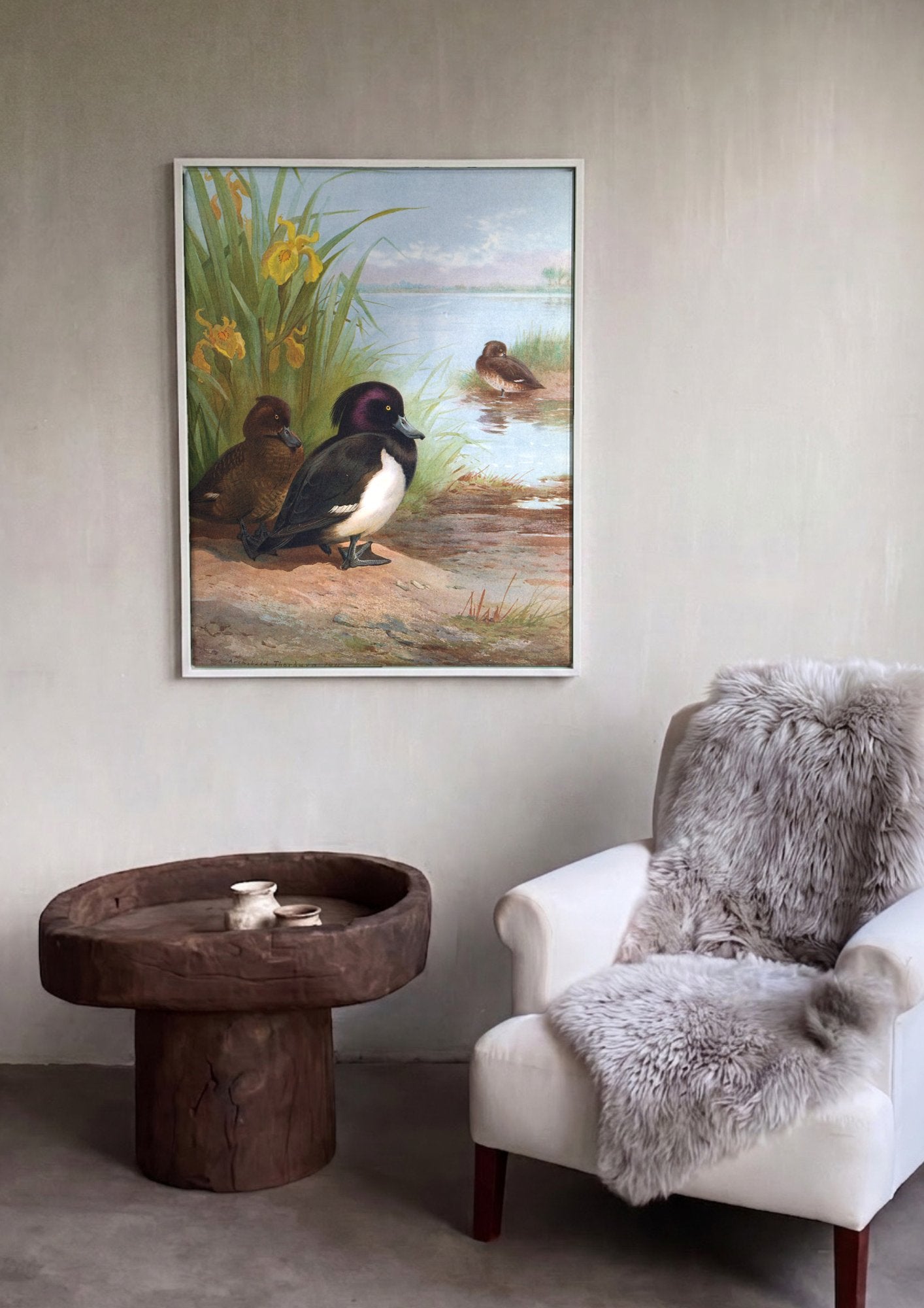 Quadro Decorativo Patos no Lago - Archibald Thorburn em ambiente decorado