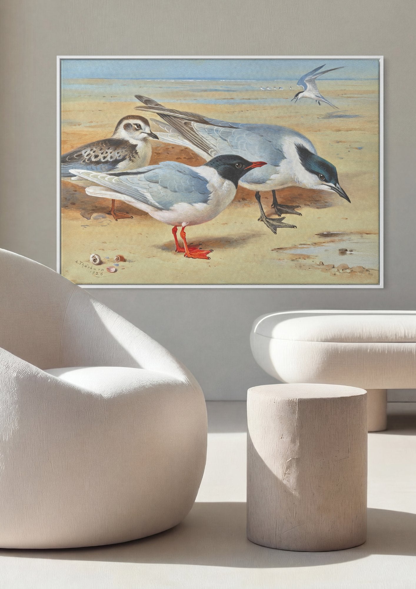 Quadro Decorativo Aves Marinhas - Archibald Thorburn em ambiente decorado