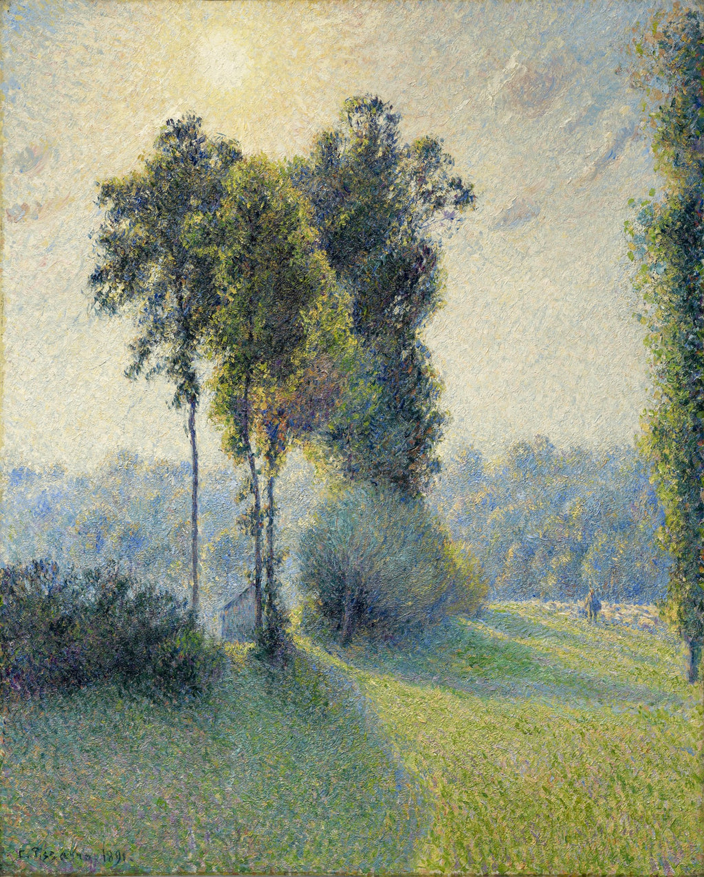 Quadro decorativo paisagem de Camille Pissarro, um campo verde iluminado pelo sol com árvores altas e sombras alongadas ao amanhecer ou fim de tarde, com pinceladas texturizadas de estilo impressionista.