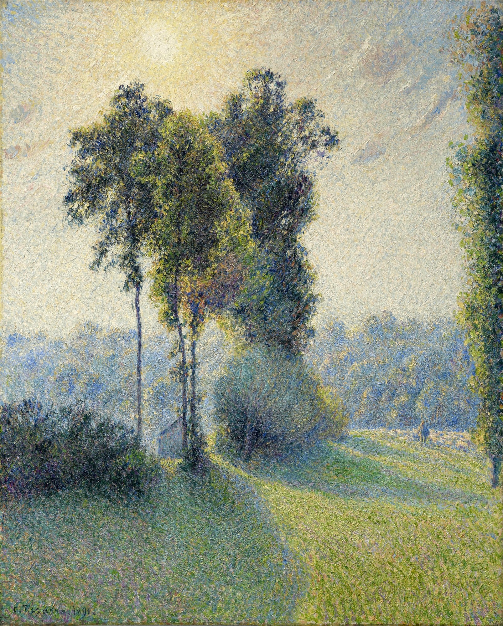 Quadro decorativo paisagem de Camille Pissarro, um campo verde iluminado pelo sol com árvores altas e sombras alongadas ao amanhecer ou fim de tarde, com pinceladas texturizadas de estilo impressionista.