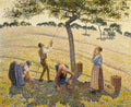 Quadro com a obra 'A Colheita de Maçãs' de Camille Pissarro, mostrando camponeses colhendo maçãs sob uma árvore com a técnica pontilhista, em tons de amarelo, verde e marrom.