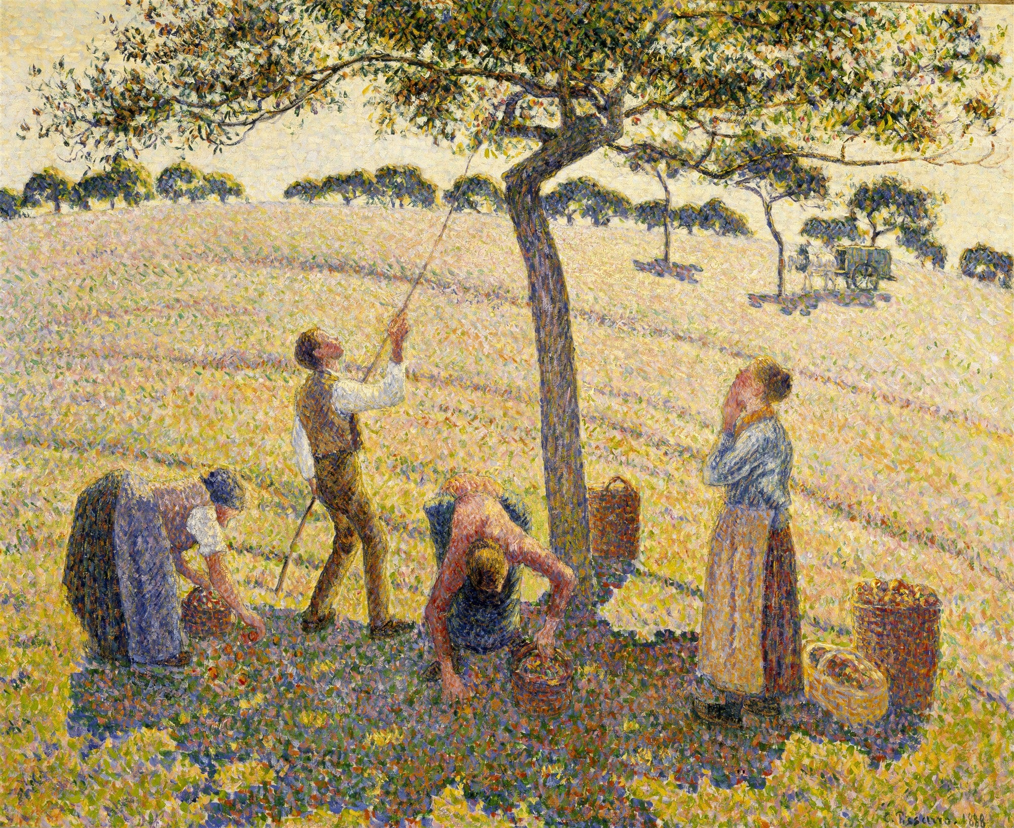 Quadro com a obra 'A Colheita de Maçãs' de Camille Pissarro, mostrando camponeses colhendo maçãs sob uma árvore com a técnica pontilhista, em tons de amarelo, verde e marrom.