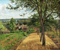 Pintura a óleo de Camille Pissarro, 'A Colheita de Ervilhas', mostrando uma paisagem rural com um caminho dourado de palha, árvores frondosas, um campo de ervilhas e, ao fundo, um vilarejo com uma torre de igreja sob um céu azul claro com nuvens brancas.
