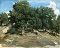 Pintura a óleo de Camille Pissarro, retratando uma floresta densa com árvores de folhas verdes escuras e troncos claros, sob um céu azul com nuvens brancas. O chão é terroso e rochoso, com áreas sombrias e iluminadas pelo sol.