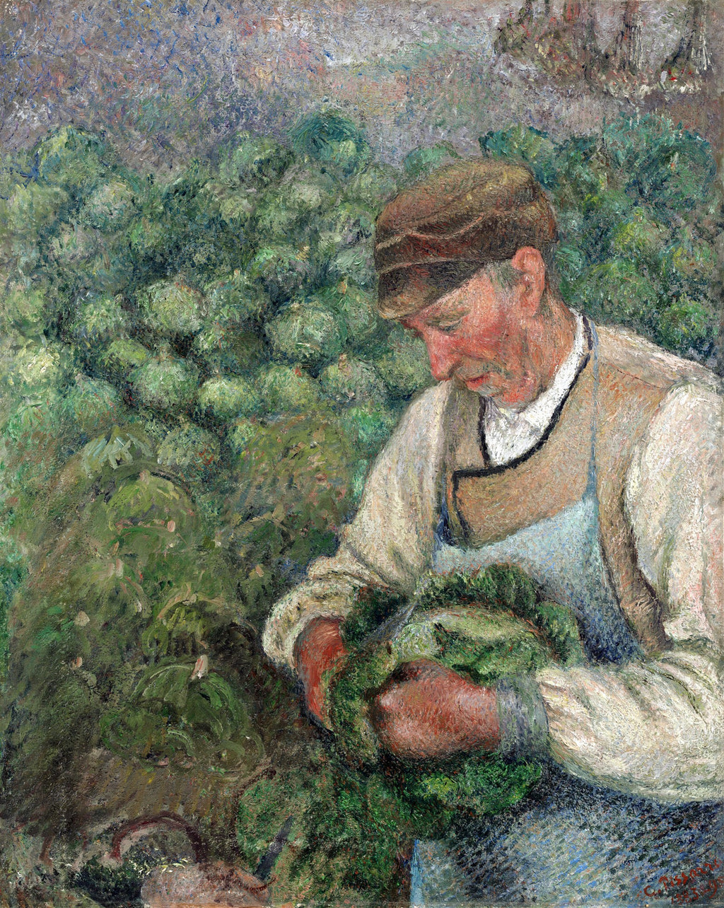 Quadro decorativo com pintura de Camille Pissarro, 'Homem com Repolhos'. Um trabalhador com chapéu e avental, curvado, colhendo ou manuseando repolhos verdes vibrantes em um campo.