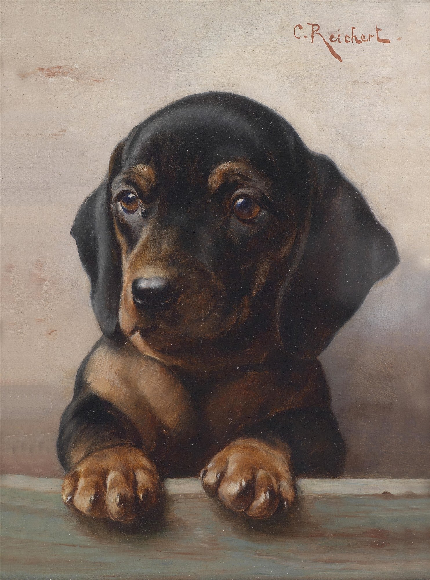 Pintura a óleo de um filhote de dachshund preto e marrom, com olhos grandes e expressivos, apoiado em uma superfície. Assinatura 'C. Reichert' no canto superior direito.