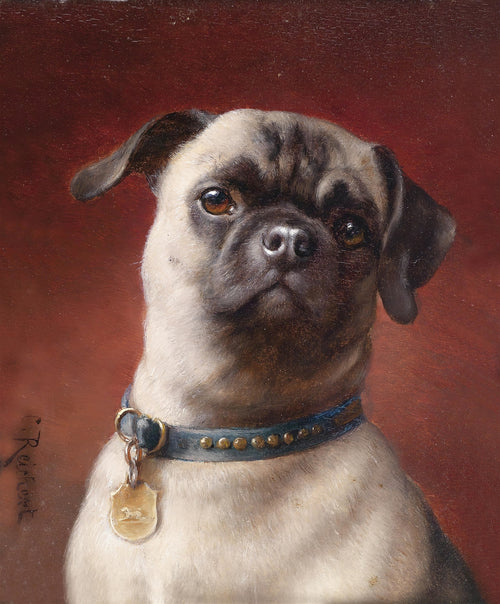 Retrato de um pug com coleira azul e medalhão, pintado por Carl Reichert, em tons de bege, marrom e fundo vermelho. Obra de arte animalista.