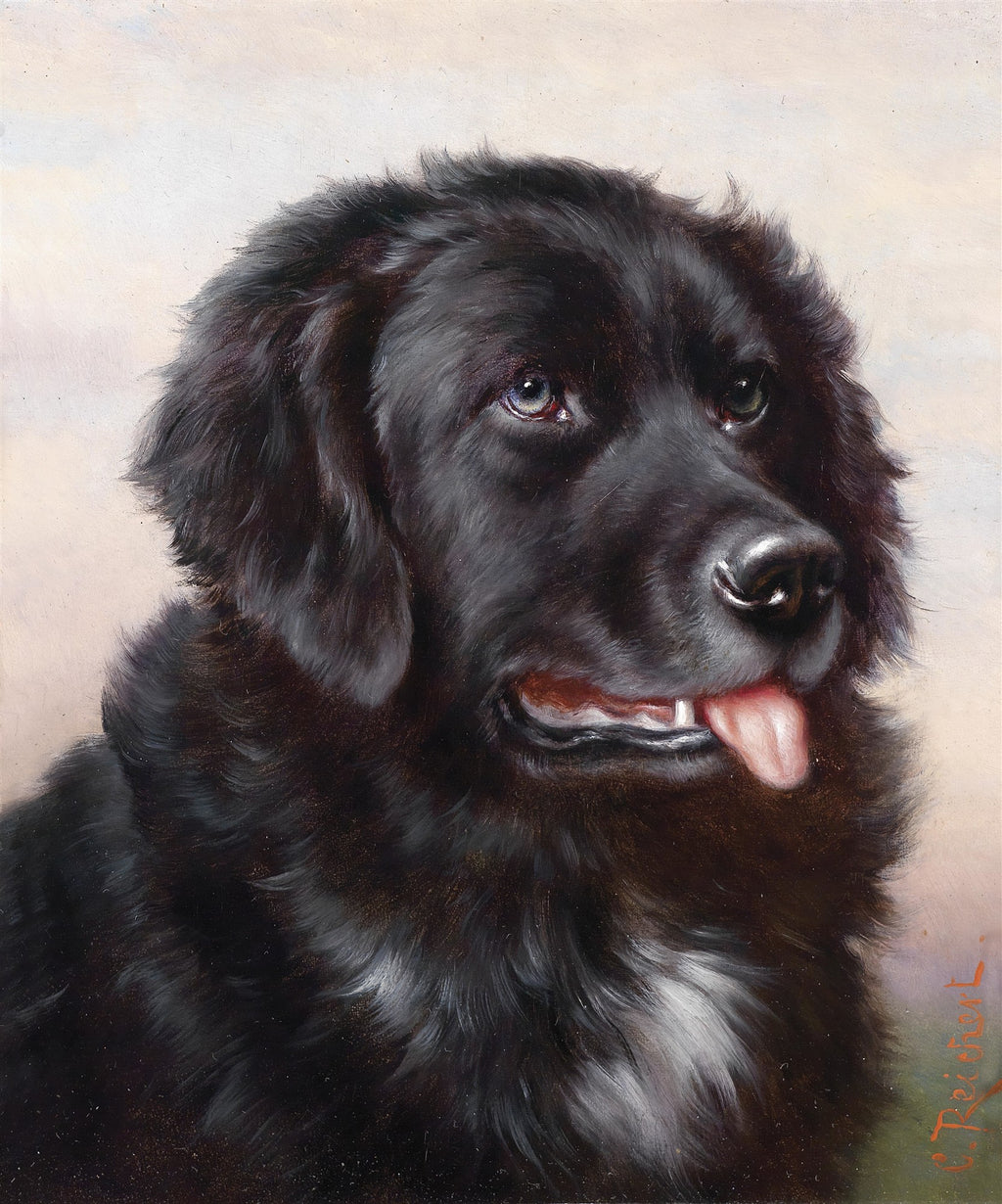 Retrato em close-up de um cão labrador negro com olhos expressivos e língua levemente para fora, atribuído a Carl Reichert