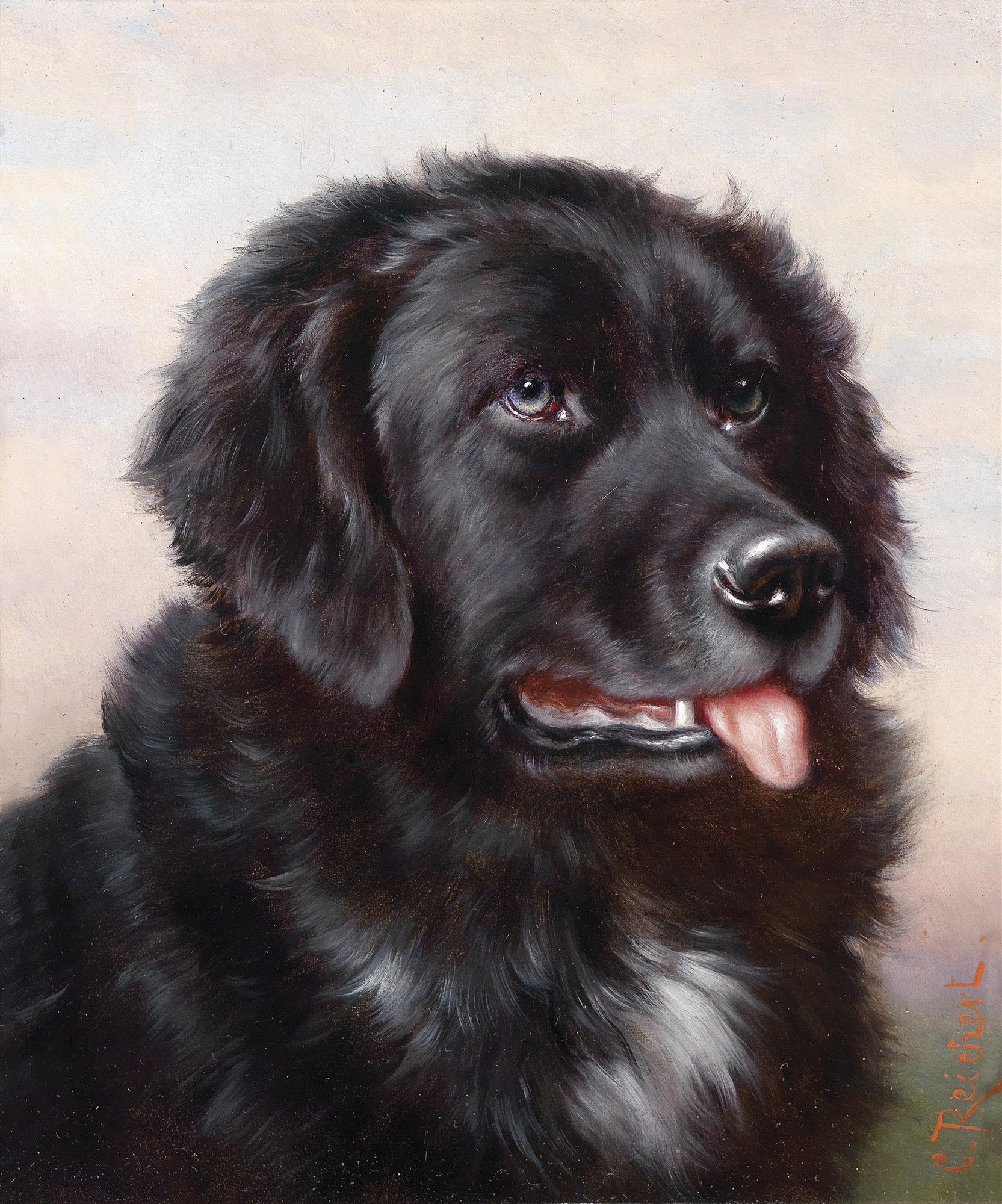 Retrato em close-up de um cão labrador negro com olhos expressivos e língua levemente para fora, atribuído a Carl Reichert