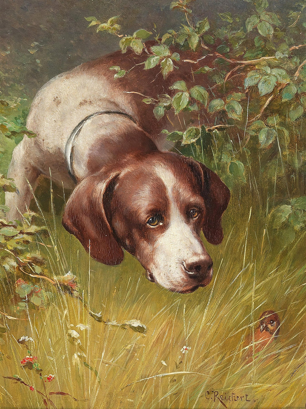 Pintura a óleo de Carl Reichert mostrando um cão de caça marrom e branco, com coleira, espreitando na grama alta e folhagem, com um pássaro pequeno à direita. Assinatura 'C. Reichert' visível no canto inferior direito.