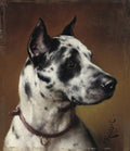 Retrato em óleo de um cão dálmata em perfil, com pelagem branca e manchas pretas, usando uma coleira marrom. O fundo é em tons de marrom e dourado. Assinatura 'C. Reichert'.