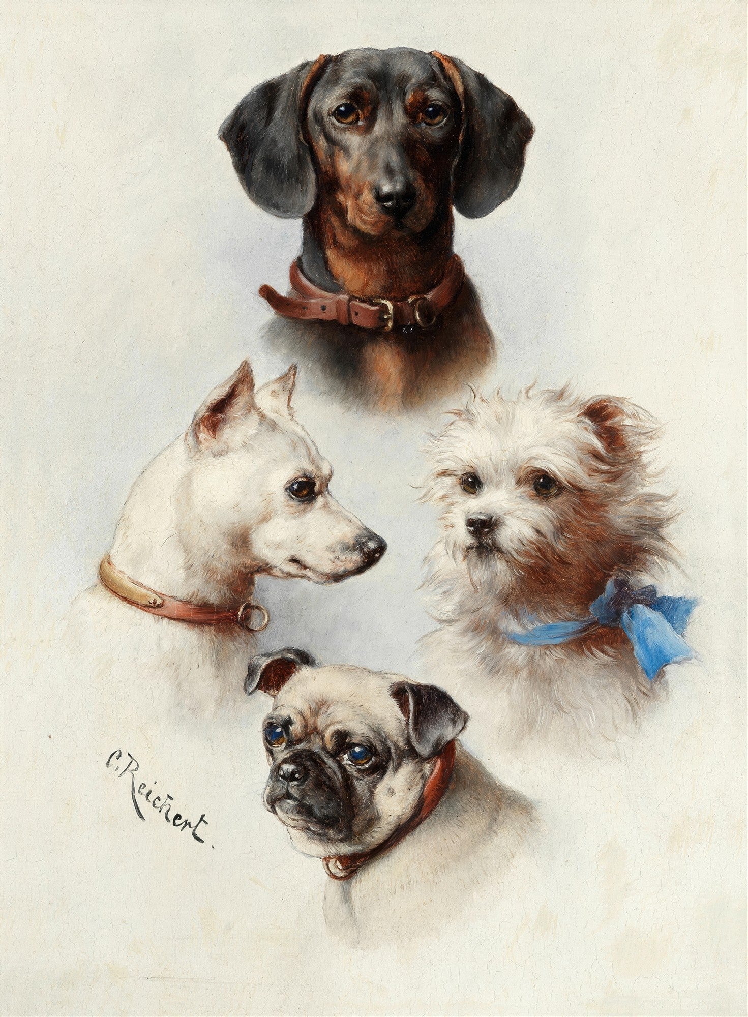 Quadro decorativo com quatro retratos de cães de diferentes raças: um Dachshund preto e marrom no topo, um Jack Russell Terrier branco à esquerda, um Maltês branco com laço azul à direita, e um Pug claro na parte inferior, todos com coleiras e expressões amigáveis. Assinatura 'C. Reichert' no canto inferior esquerdo.