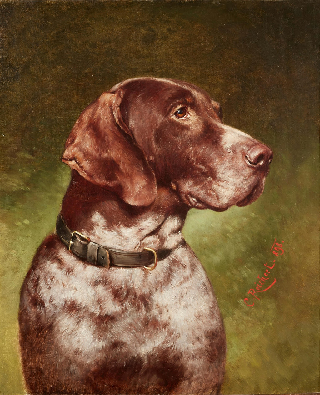 Retrato em óleo de um cão de caça marrom e branco, com coleira escura, sobre fundo verde-oliva. Assinatura do artista Carl Reichert visível.
