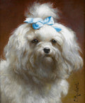 Retrato de um cão Maltês branco com um laço azul na cabeça, pintado por Carl Reichert, em fundo marrom-avermelhado.