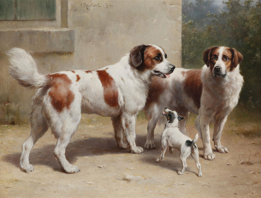 Quadro a óleo de Carl Reichert mostrando dois cães São Bernardo adultos observando um pequeno terrier branco e preto à frente, com fundo de parede e folhagem.