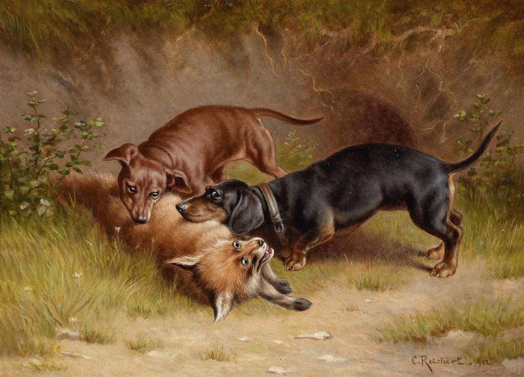 Pintura a óleo de Carl Reichert de 1912, mostrando dois cães dachshund, um marrom e um preto, interagindo com uma raposa deitada no chão, em um cenário de floresta com folhagens e terra.