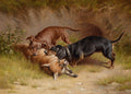 Pintura a óleo de Carl Reichert de 1912, mostrando dois cães dachshund, um marrom e um preto, interagindo com uma raposa deitada no chão, em um cenário de floresta com folhagens e terra.