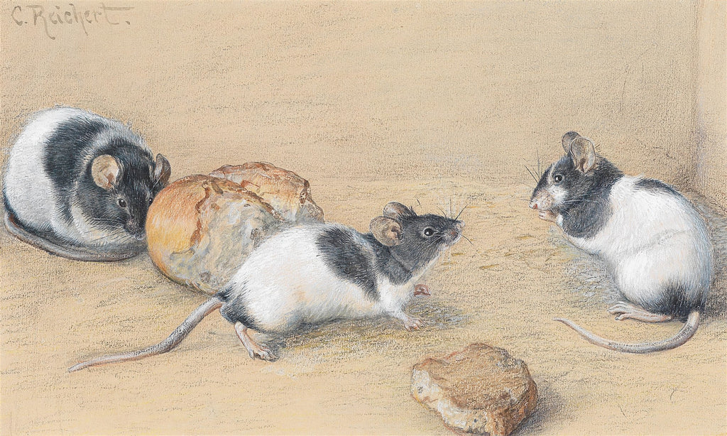 Quadro com três ratinhos curiosos de pelagem preta e branca, próximos a pedaços de pão, em uma superfície de cor areia. Assinatura 'C. Reichert' no canto superior esquerdo.