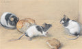 Quadro com três ratinhos curiosos de pelagem preta e branca, próximos a pedaços de pão, em uma superfície de cor areia. Assinatura 'C. Reichert' no canto superior esquerdo.