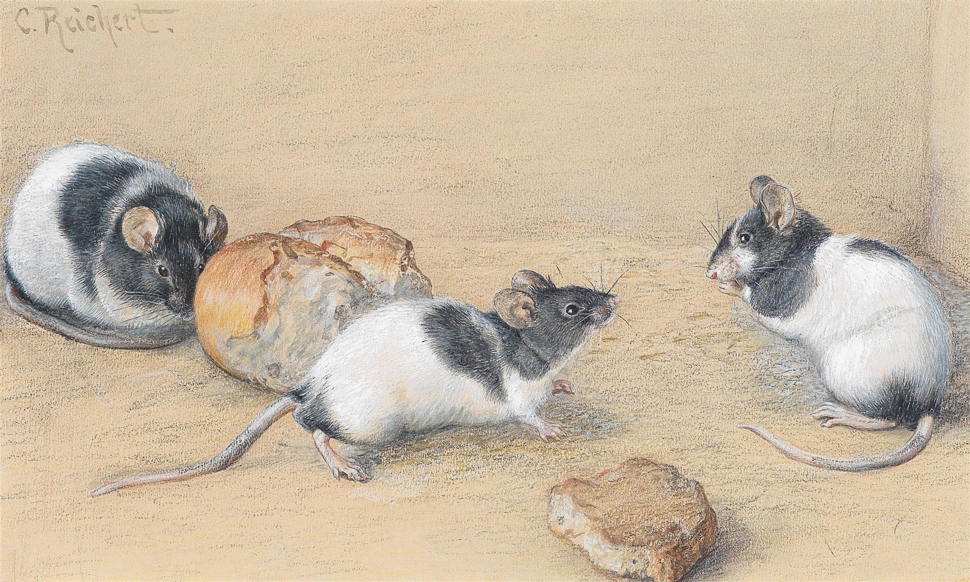 Quadro com três ratinhos curiosos de pelagem preta e branca, próximos a pedaços de pão, em uma superfície de cor areia. Assinatura 'C. Reichert' no canto superior esquerdo.