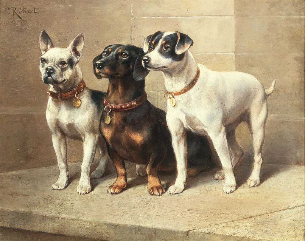 Pintura a óleo de Carl Reichert retratando três cães de raças diferentes: um bulldog francês branco e preto, um dachshund marrom escuro e um terrier branco com manchas pretas, todos com coleiras de couro e medalhões dourados, posando em degraus de pedra com um fundo neutro.
