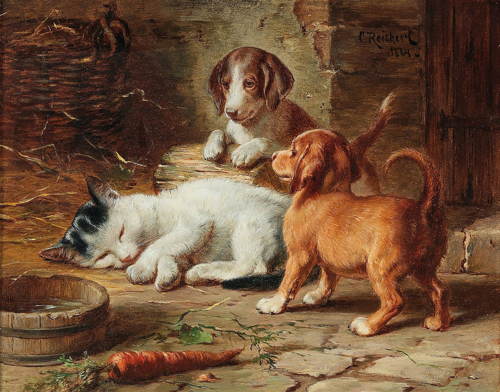 Pintura a óleo de Carl Reichert mostrando um gatinho branco e preto dormindo calmamente no chão, enquanto dois filhotes de cachorro marrons o observam com curiosidade. Há uma tigela de água e uma cenoura no chão. A cena se passa em um ambiente rústico, com tons terrosos e palha ao fundo. Assinatura 'C. Reichert 1884' visível no canto superior direito.