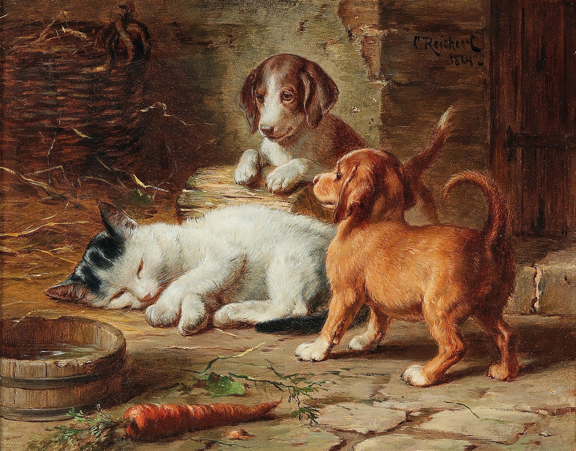 Pintura a óleo de Carl Reichert mostrando um gatinho branco e preto dormindo calmamente no chão, enquanto dois filhotes de cachorro marrons o observam com curiosidade. Há uma tigela de água e uma cenoura no chão. A cena se passa em um ambiente rústico, com tons terrosos e palha ao fundo. Assinatura 'C. Reichert 1884' visível no canto superior direito.