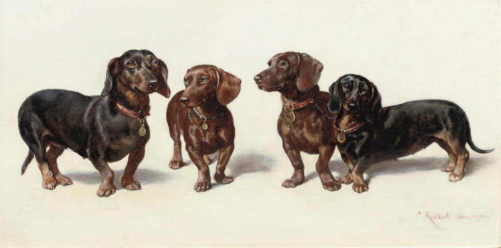 Quadro decorativo mostrando quatro cães da raça Dachshund, dois pretos e dois marrons, com coleiras, em um fundo claro. Assinatura do artista Carl Reichert no canto inferior direito.