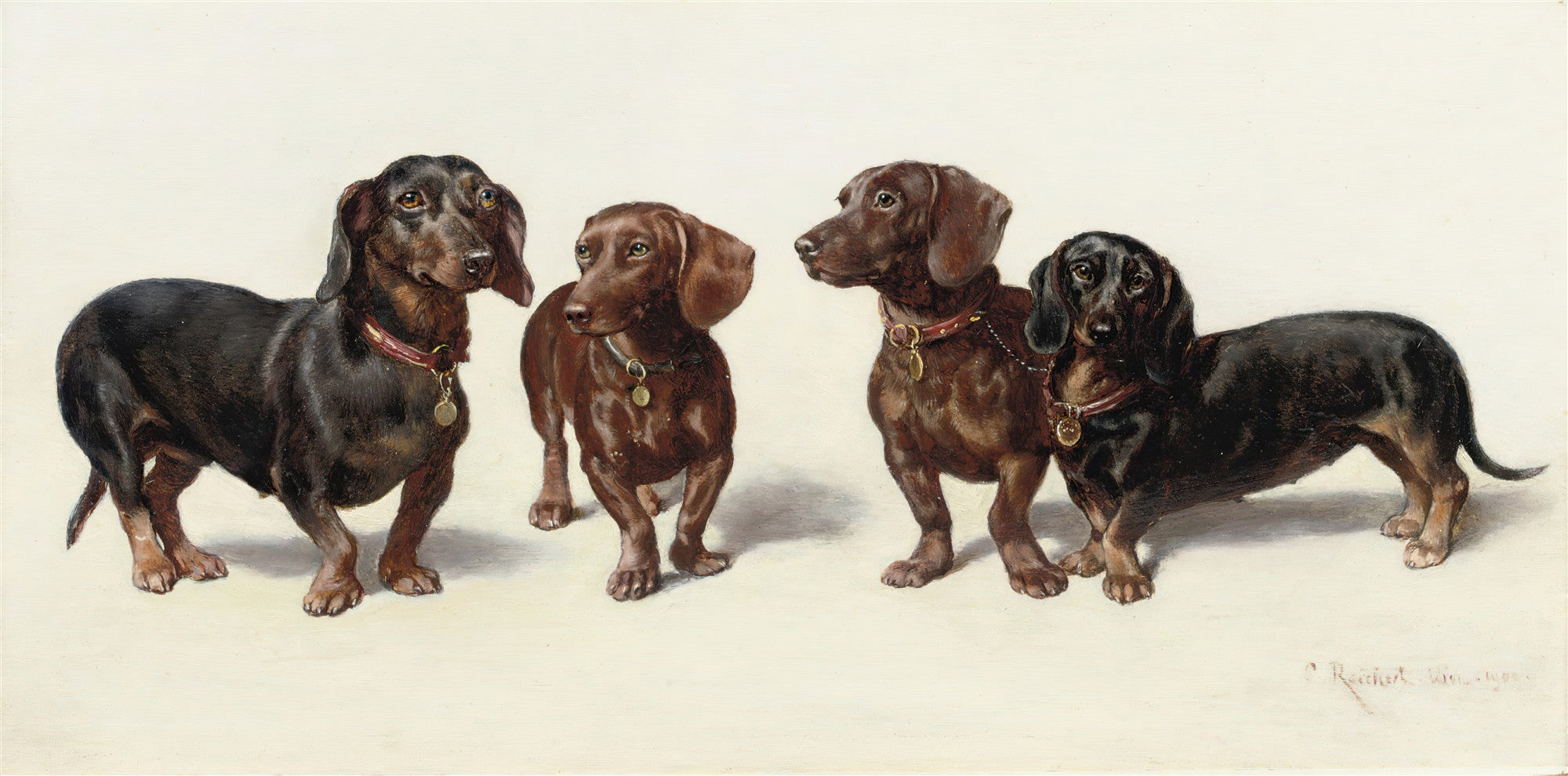 Quadro decorativo mostrando quatro cães da raça Dachshund, dois pretos e dois marrons, com coleiras, em um fundo claro. Assinatura do artista Carl Reichert no canto inferior direito.