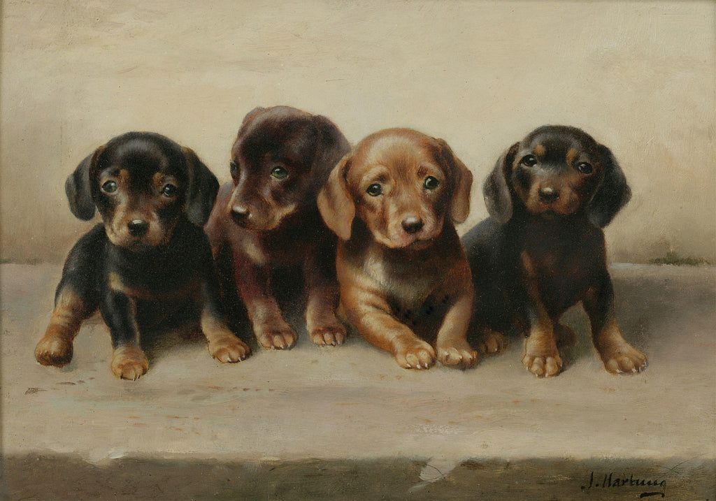 Quadro decorativo com pintura de quatro filhotes de dachshunds em tons de marrom e preto, olhando para frente, sobre uma superfície clara e fundo neutro. Assinatura 'J. Hartman'