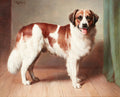 Pintura a óleo de um Cão São Bernardo em pé, com pelagem branca e marrom avermelhada, expressão amigável e língua para fora, em ambiente interno com chão de madeira e parede neutra.