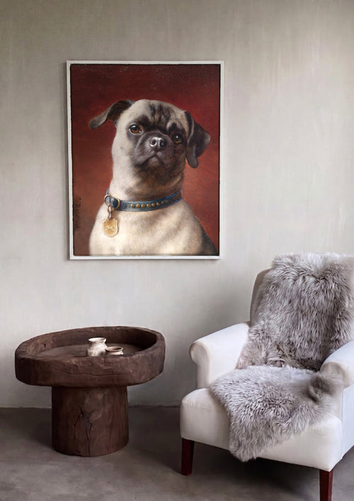 Quadro Decorativo 'Retrato de Pug' - Carl Reichert | quadro emoldurado na parede