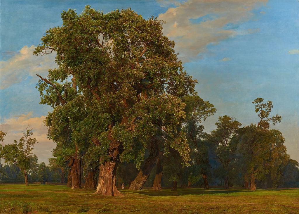 Quadro decorativo Floresta de Carvalho de Ferdinand Georg Waldmüller, retratando grandes árvores frondosas sob um céu azul com nuvens.