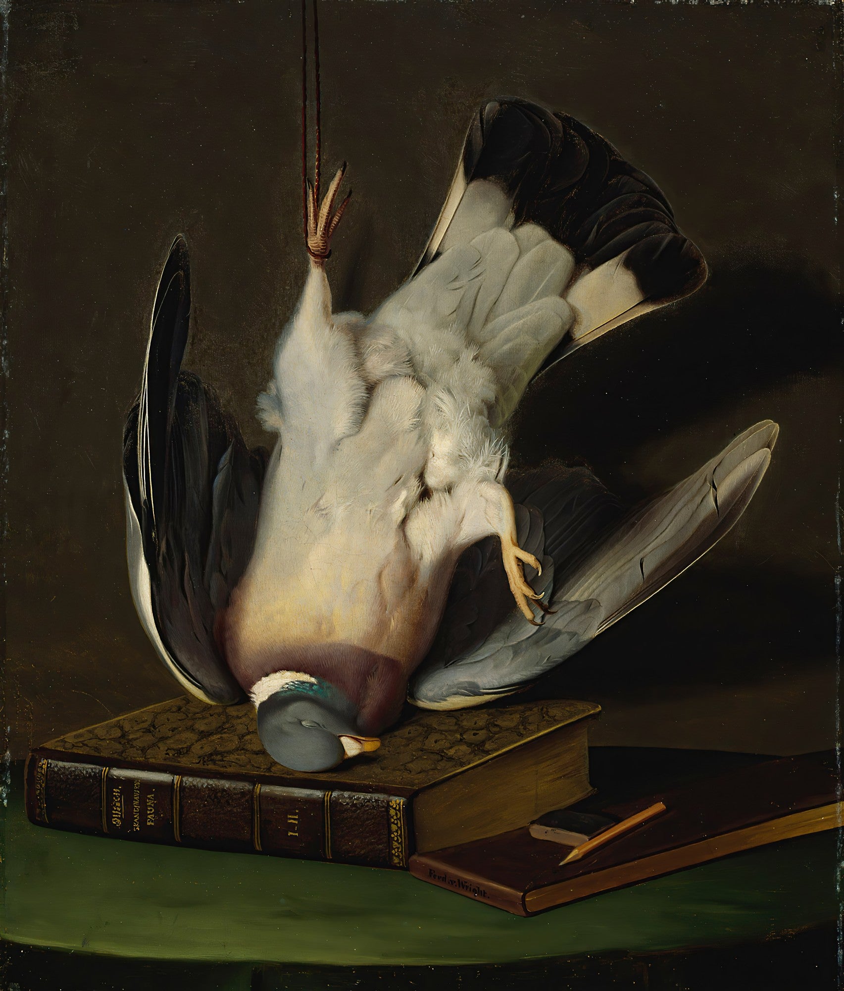 Pintura a óleo de um pombo-torcaz cinza e branco pendurado de cabeça para baixo sobre livros antigos em uma mesa escura.