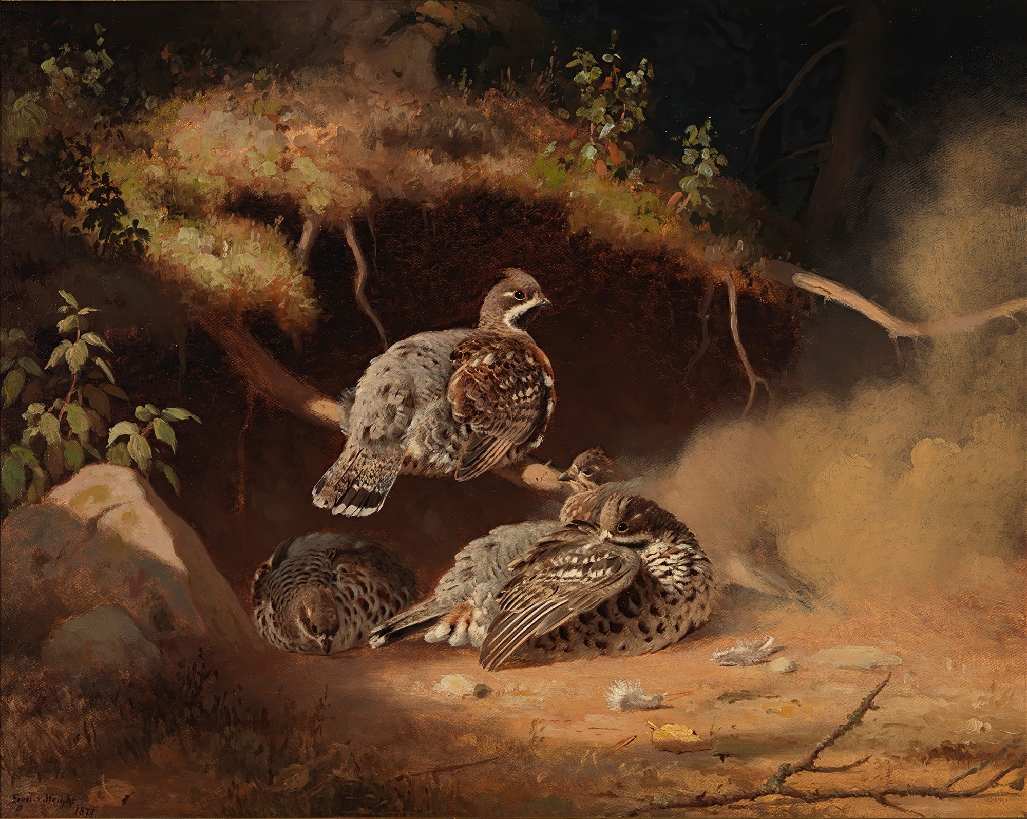 Pintura a óleo de Ferdinand von Wright, 'Perdizes na Floresta', mostrando uma mãe perdiz e seus filhotes camuflados entre a folhagem e raízes em um ambiente florestal com luz suave. As aves têm plumagem marrom e cinza, e a cena é de tranquilidade e proteção. Assinatura do artista e data '1877' visíveis no canto inferior esquerdo.