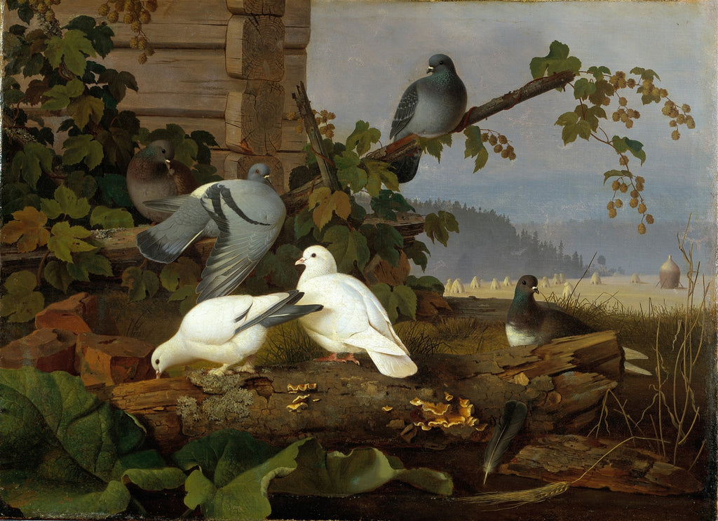 Pintura a óleo de Ferdinand von Wright mostrando pombos em um cenário rural, com uma cabana de madeira e um campo ao fundo.
