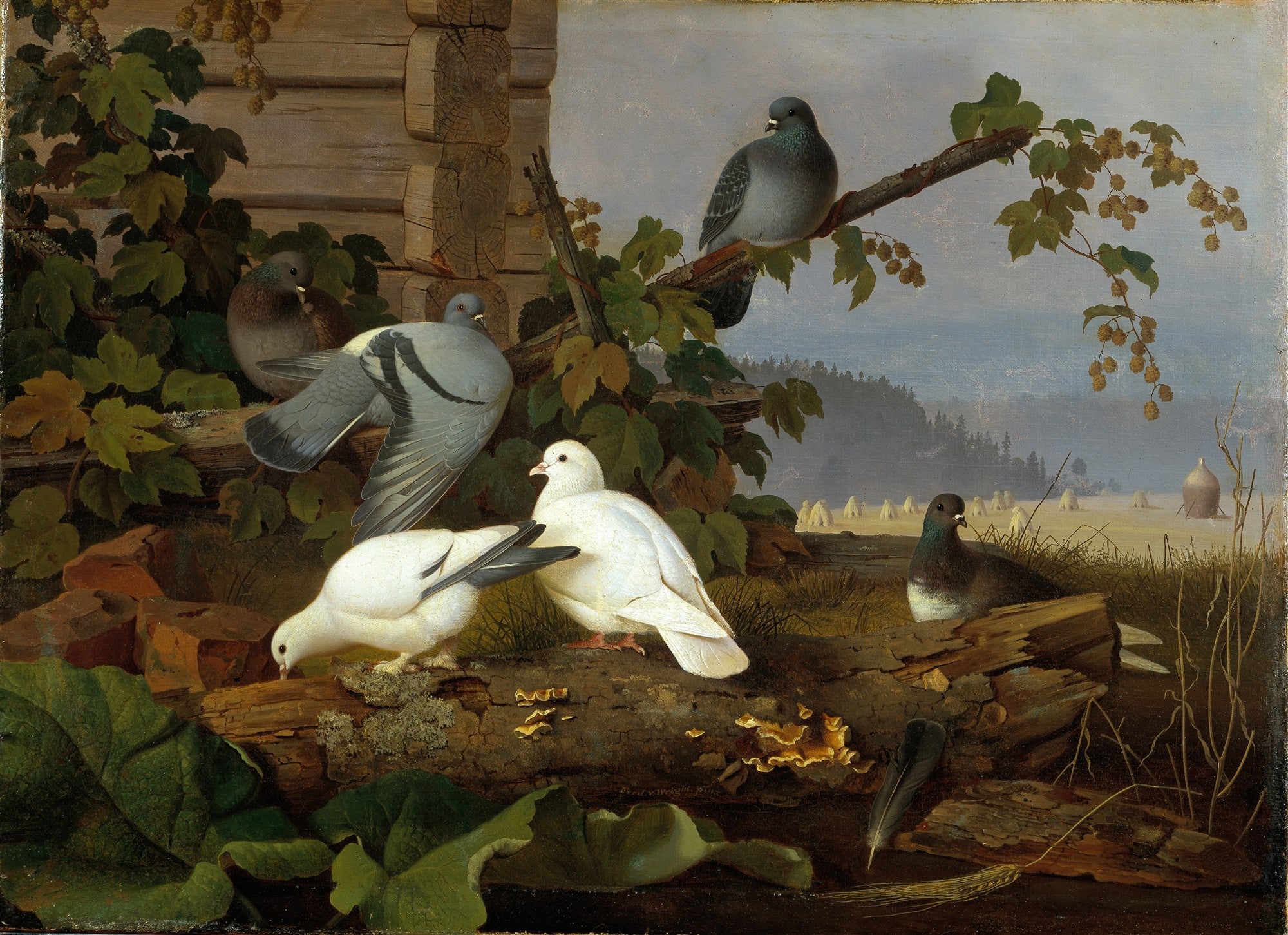 Pintura a óleo de Ferdinand von Wright mostrando pombos em um cenário rural, com uma cabana de madeira e um campo ao fundo.