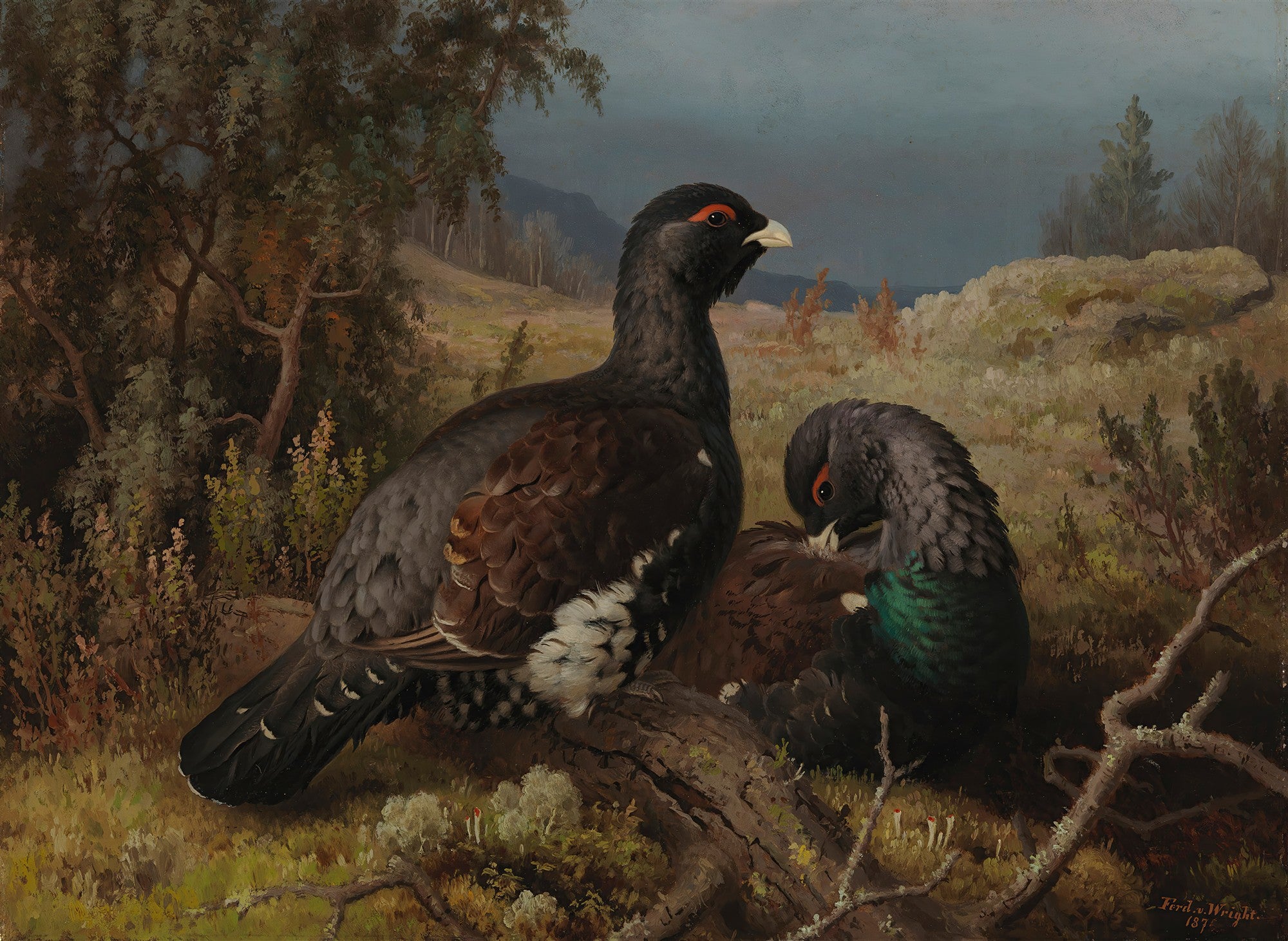 Pintura a óleo de Ferdinand von Wright mostrando dois capercaillies na floresta. Um macho grande e escuro em primeiro plano, um menor atrás em tons de verde e marrom. A floresta ao fundo é em tons de verde e cinza, com um céu nublado.