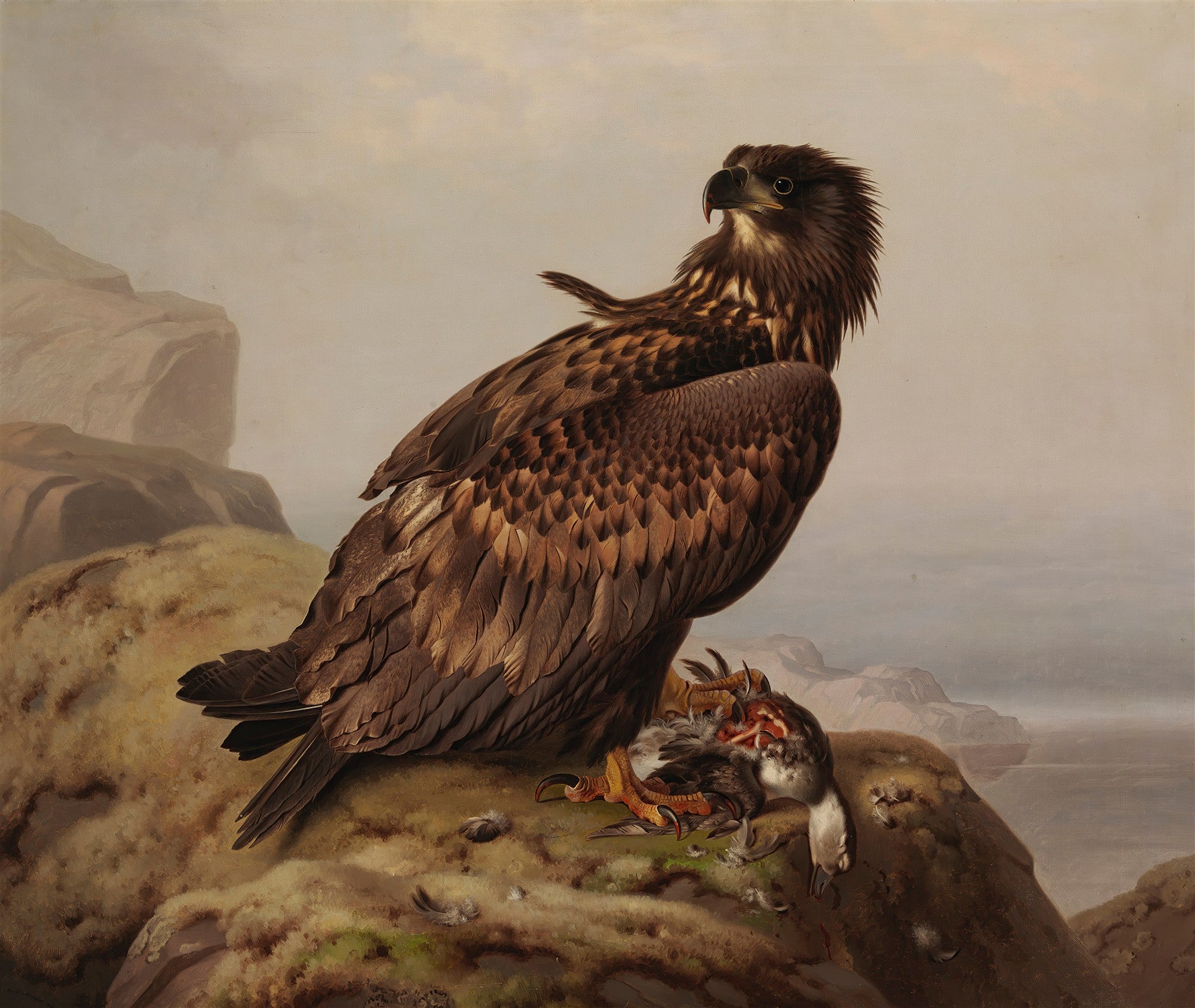 Pintura a óleo de uma águia-rabilonga marrom escura empoleirada em uma rocha, com uma presa ensanguentada sob suas garras. O fundo mostra um céu nublado e formações rochosas distantes. A águia olha para a direita com um olhar penetrante.