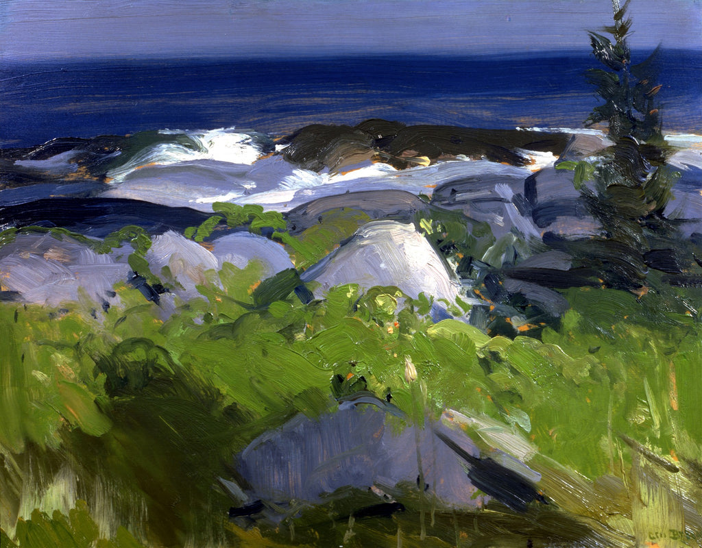 Pintura a óleo de George Bellows, "Monhegan Gull", retratando penhascos rochosos à beira-mar com vegetação verde exuberante e ondas brancas quebrando em um mar azul escuro sob um céu nublado.