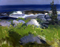 Pintura a óleo de George Bellows, "Monhegan Gull", retratando penhascos rochosos à beira-mar com vegetação verde exuberante e ondas brancas quebrando em um mar azul escuro sob um céu nublado.