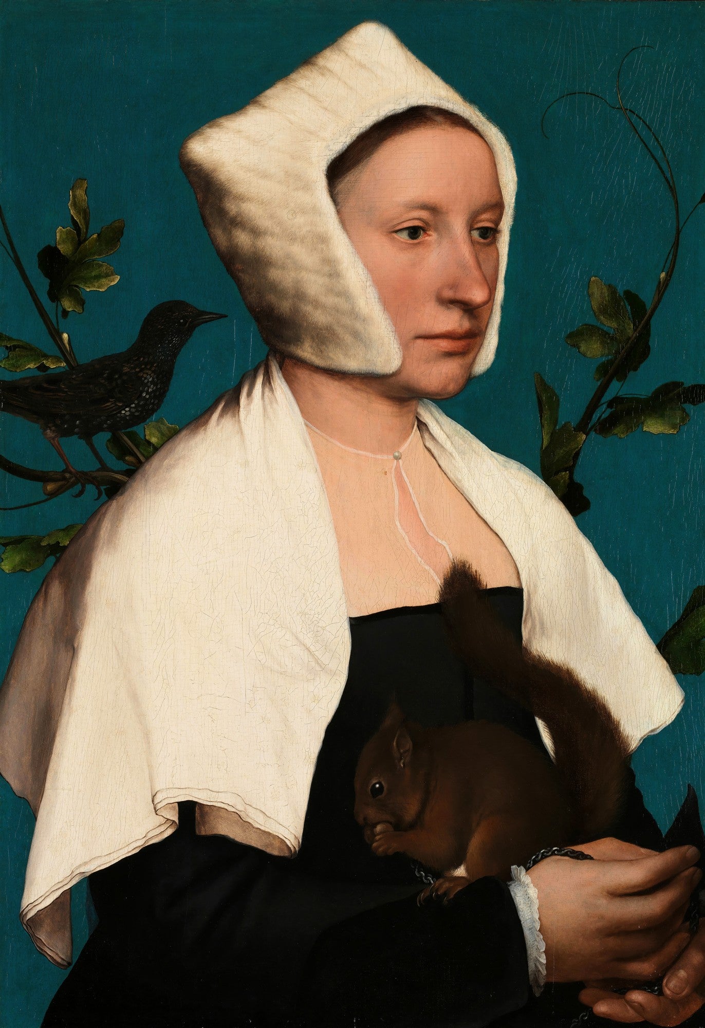 Retrato de uma mulher do Renascimento, vestindo touca branca e xale, segurando um esquilo marrom e com um estorninho preto em um galho, contra um fundo azul-petróleo. A obra é de Hans Holbein, o Jovem.