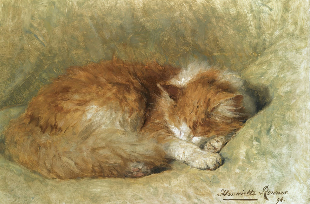Pintura a óleo de um gato ruivo e branco adormecido, enrolado, com a cabeça apoiada nas patas, sobre um fundo em tons de verde e marrom. A pelagem é detalhada com pinceladas que sugerem maciez e volume. A luz parece incidir suavemente sobre o animal, realçando os tons quentes do pelo.