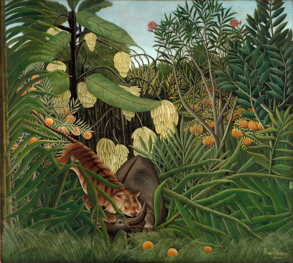 Quadro decorativo "A Luta do Tigre e do Boi" de Henri Rousseau, retratando um tigre atacando um boi em uma selva exuberante com vegetação densa e folhas grandes. A paleta de cores é dominada por tons de verde, marrom e laranja. A cena é dramática e detalhada.