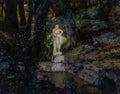 Quadro decorativo com imagem de uma estátua clássica nua em mármore branco em meio a uma densa floresta escura, com raios de luz atravessando as árvores. A estátua está sobre um pedestal e há água abaixo dela. O estilo é realista e sombrio, com a assinatura 'Siemiradzki' no canto inferior esquerdo.